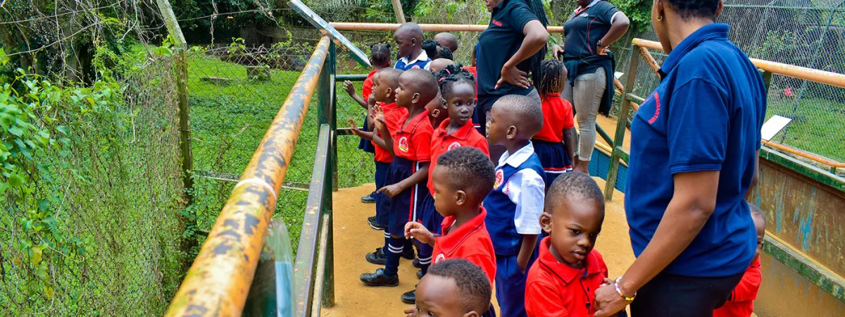 8 Tips to choose the right educational tour for your students in Uganda?