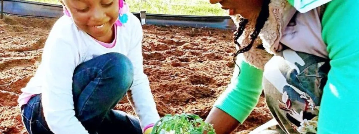 How to involve kids in farming